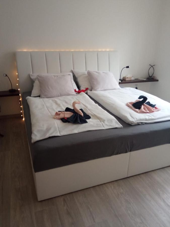Academic Apartment Brno Zewnętrze zdjęcie