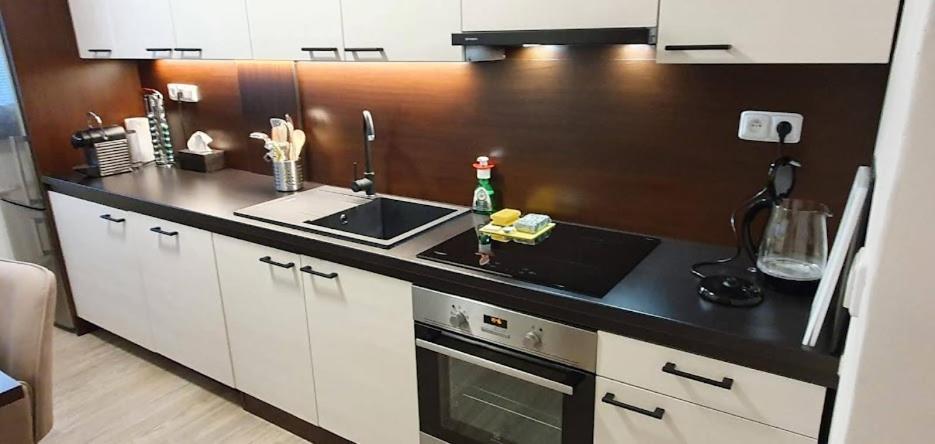 Academic Apartment Brno Zewnętrze zdjęcie