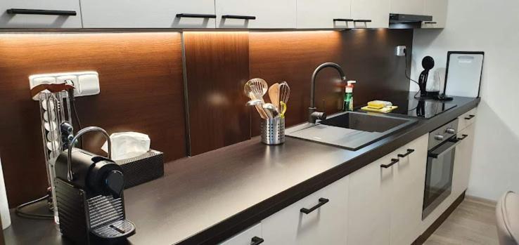 Academic Apartment Brno Zewnętrze zdjęcie